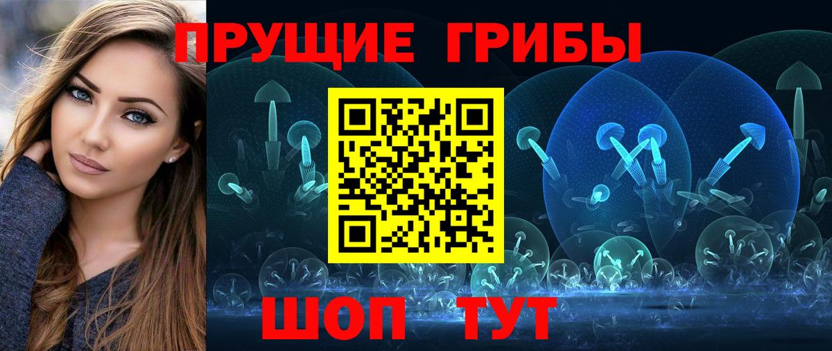 Псилоцибиновые грибы мицелий Волоколамск
